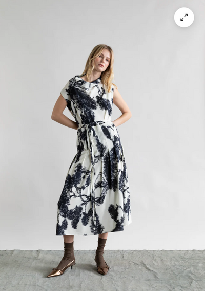 Whispering Lines Silk Dress