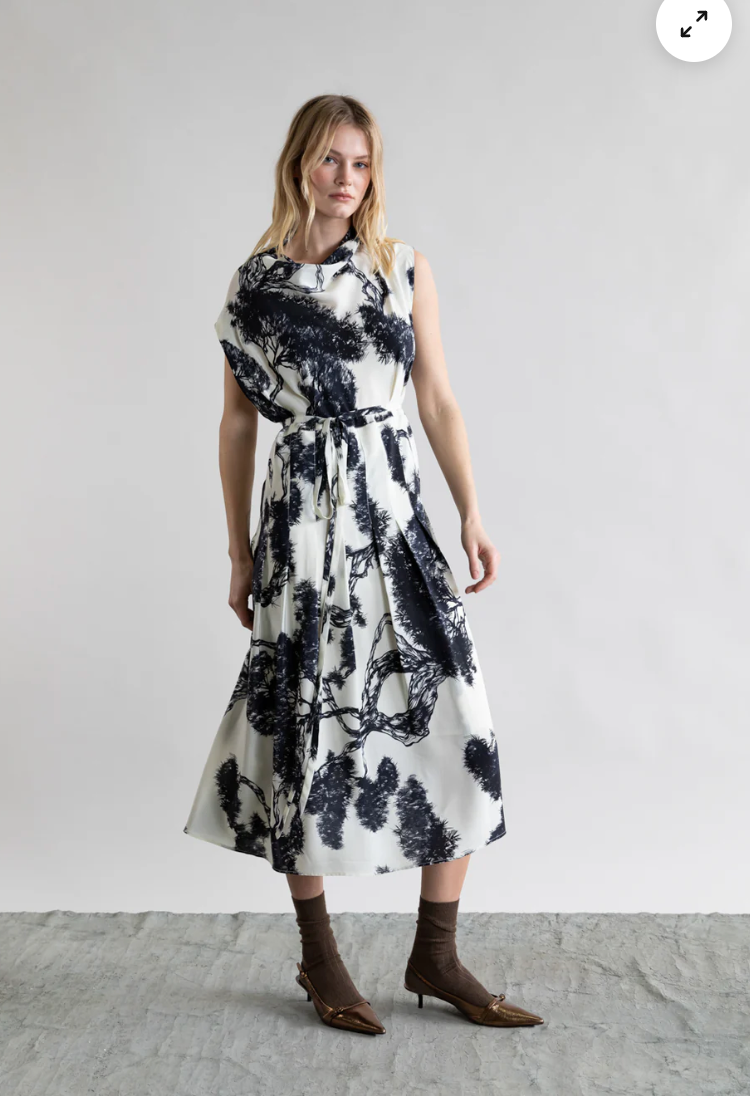 Whispering Lines Silk Dress