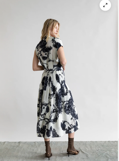 Whispering Lines Silk Dress